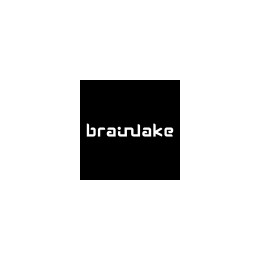Business Transformation Manager