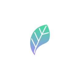 Software Engineer