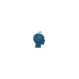 Security Consultant