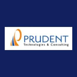 Cybersecurity Consultant