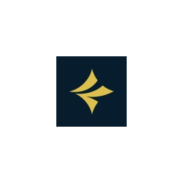 GEO/SEO Strategy Director