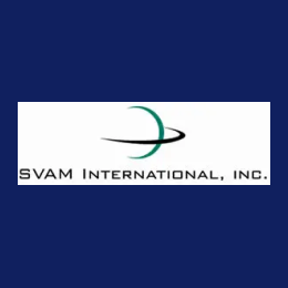 SAP Project Manager (SAP / Logistics)