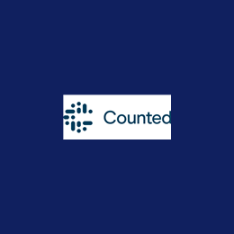 Interim Financial Controller