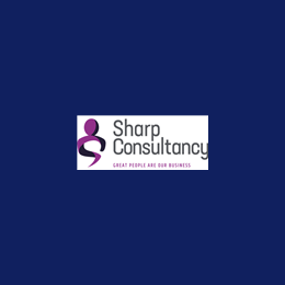 Interim Management Accountant / Finance Business Partner