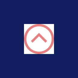 Interim Finance Director