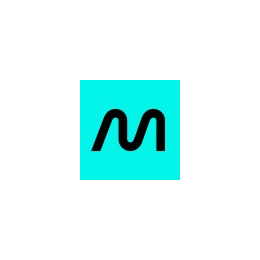 Software Developer Team Lead
