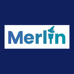 Salesforce Developer with Mulesoft exp