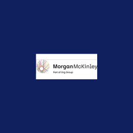 Interim Finance Analyst