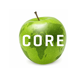 Project Accountant (NetSuite implementation)
