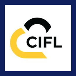 Workday Payroll Technical Consultant