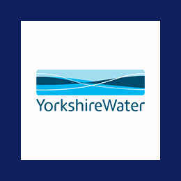 Lead Commercial Auditor