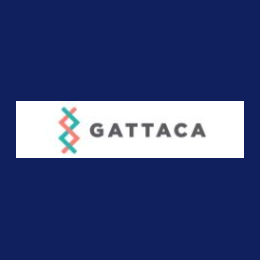 Technical Dual Run & Cutover Project Manager
