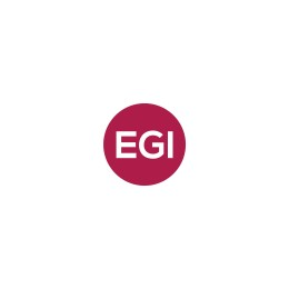 Project Manager