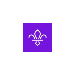 Project Manager (Safe Scouting)