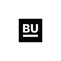Head of Digital / AI / Platform Services