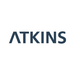 Cyber Security Consultant