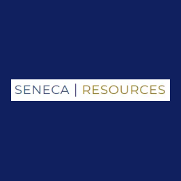 Senior Cloud / AI Developer