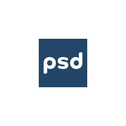 Information Technology Project Manager