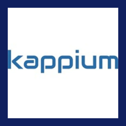 Workday HCM consultant