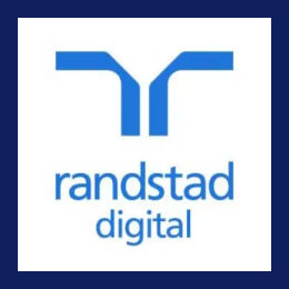Sr Business Analyst Consultant