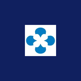 Technical Delivery Manager