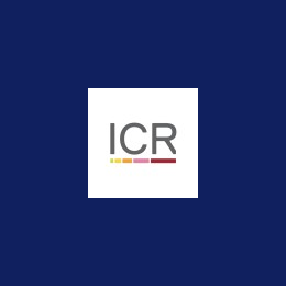 Software Engineer
