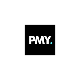 Senior Data Analyst