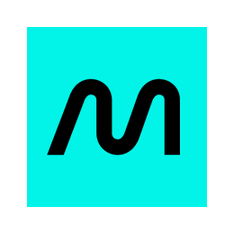 Software Developer Team Lead - 12 Month FTC