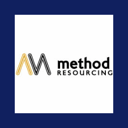 Senior Data Analyst