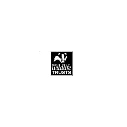 Interim Director of Finance and Business Support
