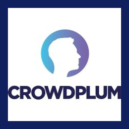 Workforce Software Consultant