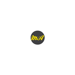 Interim Financial Controller