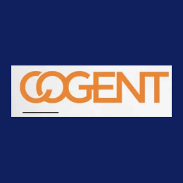 Information Security Engineer