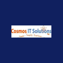 Senior Cloud / AI Developer
