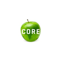 Project Accountant