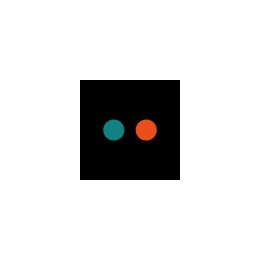 Graphic Designer