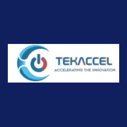 Lead Support Analyst