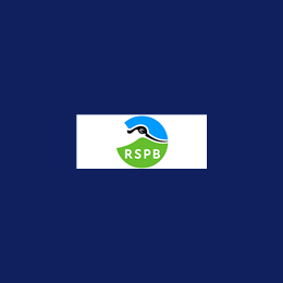 Management Accountant - Restricted Income