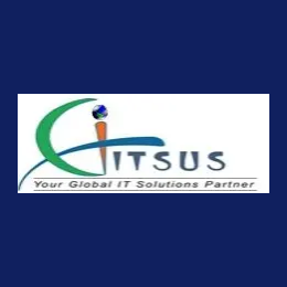 Architect - Supply Chain & ERP Analytics
