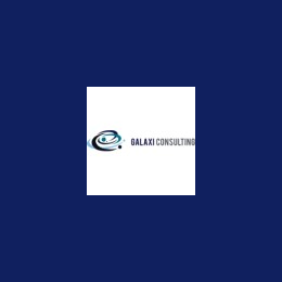 Information Technology Service Management Consultant
