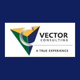Remote SAP Financials Functional Consultant