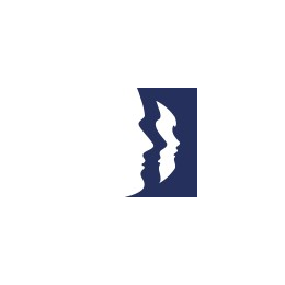 Technical Buyer