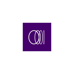 Data Analyst