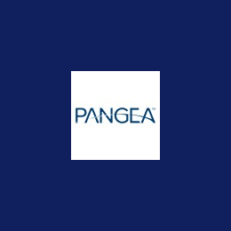 Business Analyst