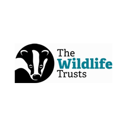 Interim Director of Finance and Business Support
