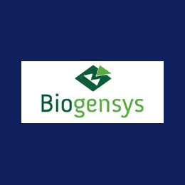 Project Manager (Senior Manager)