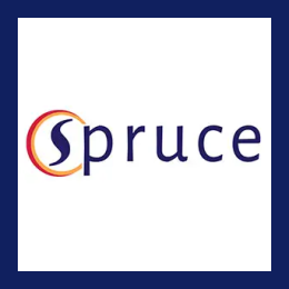 Network Vulnerability & Automation Engineer