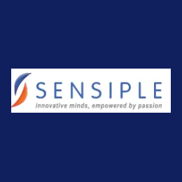 Senior .NET Backend Developer - REMOTE