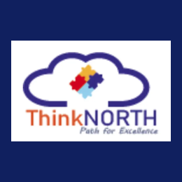 ServiceNow Technical Consultant