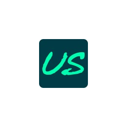 Information Technology Project Manager